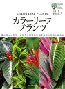 カラーリーフプランツ 葉の美しい熱帯・亜熱帯の観葉植物547品目の特徴と栽培法【電子書籍】[ 土橋豊 ]