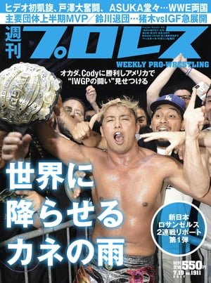 週刊プロレス 2017年 7/19号 No.1911