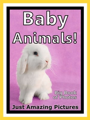 Just Baby Animal Photos! Big Book of Photographs & Pictures of Baby Animals, Vol. 5