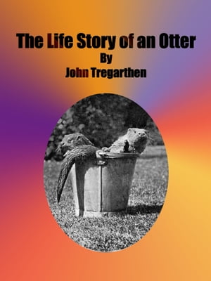 The Life Story of an Otter