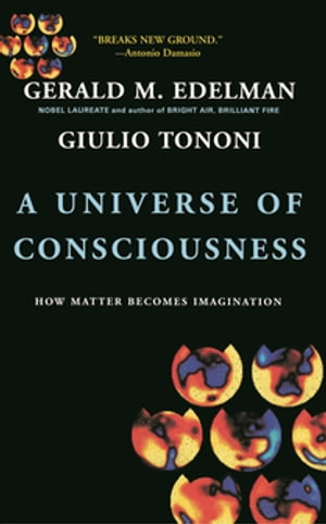 A Universe Of Consciousness How Matter Becomes Imagination【電子書籍】[ Giulio Tononi ]