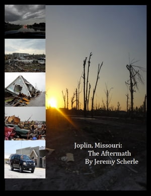 Joplin, Missouri: The AftermathŻҽҡ[ Jeremy Scherle ]