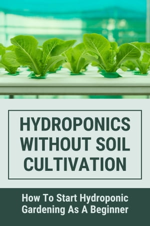 Hydroponics Without Soil Cultivation: How To Start Hydroponiic Gardening As A Beginner