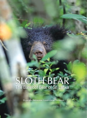 ŷKoboŻҽҥȥ㤨Sloth Bear: The Barefoot Bear of Sri LankaŻҽҡ[ Shyamala Ratnayeke ]פβǤʤ2,541ߤˤʤޤ