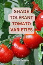ŷKoboŻҽҥȥ㤨Shade Tolerant Tomato Varieties: 28 varieties, 7 tips and motivation for growing in the shadeŻҽҡ[ Daniel Keleman ]פβǤʤ150ߤˤʤޤ