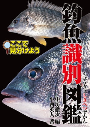 釣魚識別図鑑-ここで見分けよう