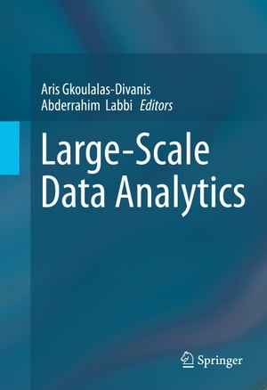 Large-Scale Data Analytics