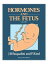 Hormones and the Fetus