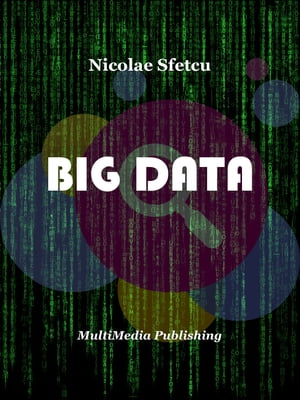 Big Data【電子書籍】[ Nicolae Sfetcu ]