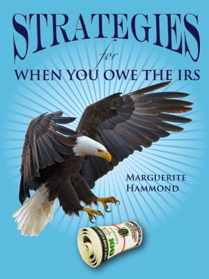 Strategies for When You Owe the IRS