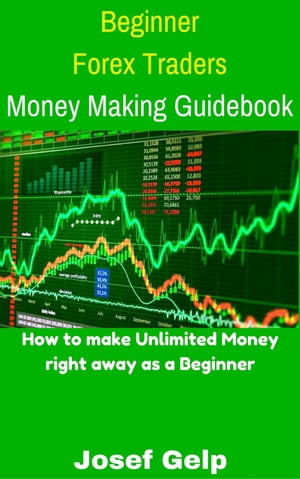 Beginner Forex Traders Money Making Guidebook