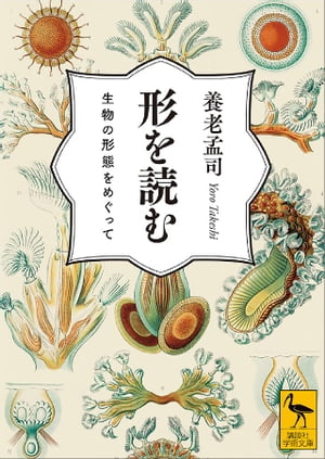 形を読む　生物の形態をめぐって