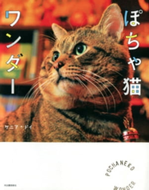 ぽちゃ猫ワンダー【電子書籍】[ ケニアドイ ]