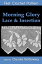 Morning Glory Lace & Insertion Filet Crochet Pattern