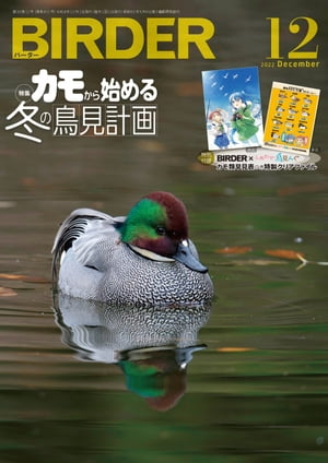 BIRDER2022年12月号