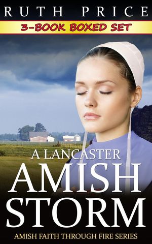 A Lancaster Amish Storm 3-Book Boxed Set A Lanca