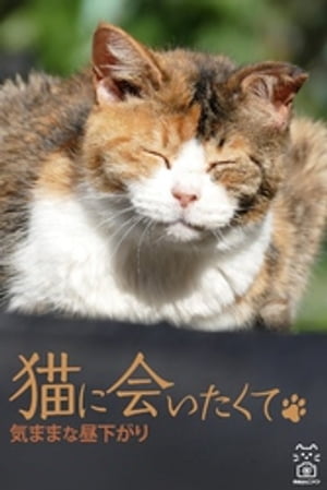 猫に会いたくて　気ままな昼下がり