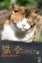 猫に会いたくて 気ままな昼下がり【電子書籍】