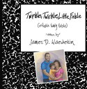 ŷKoboŻҽҥȥ㤨Twinkle, Twinkle, Little Finkle A Finkle Family FableŻҽҡ[ James D. Waedekin ]פβǤʤ452ߤˤʤޤ