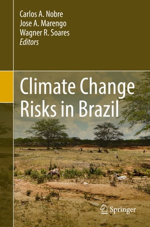 Climate Change Risks in Brazil