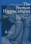 The Human Hippocampus