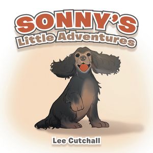 Sonny's Little Adventures