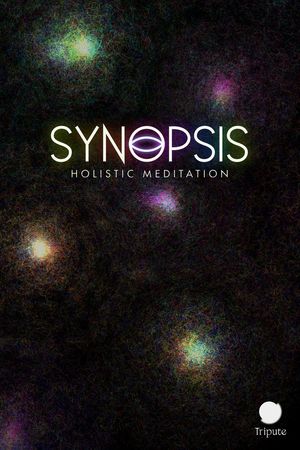 Synopsis: Holistic Meditation