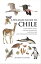 A Wildlife Guide to Chile