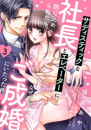 サディスティックな社長とエレベーターに閉じ込められたら、なぜかご成婚にいたった件。【単話売】 3話