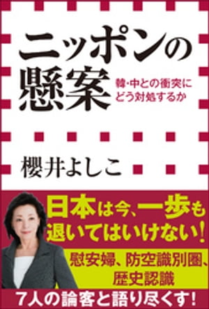 ニッポンの懸案　韓・中との衝突にどう対処するか（小学館新書）