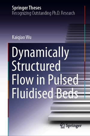 Dynamically Structured Flow in Pulsed Fluidised Beds