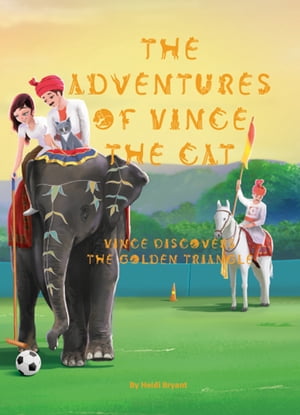 The Adventures of Vince the Cat - Vince Discovers The Golden Triangle