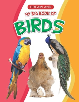 My Big Book of Birds Big Book SeriesŻҽҡ[ Anuj Chawla ]