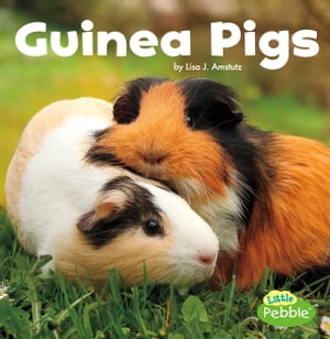Guinea Pigs【電子書籍】[ Lisa J. Amstutz ]