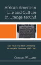 African American Life and Culture in Orange Mound Case Study of a Black Communit...