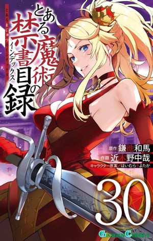 とある魔術の禁書目録30巻