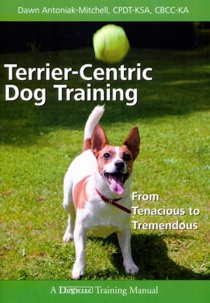 TERRIER-CENTRIC DOG TRAINING FROM TENACIOUS TO TREMENDOUS