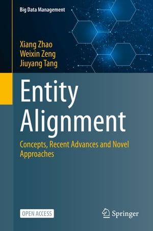 Entity Alignment