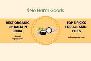 Organic Lip Balm India: The Best Natural Lip Bal