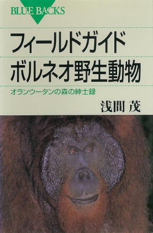 フィールドガイド　ボルネオ野生動物　オランウータンの森の紳士録【電子書籍】[ 浅間茂 ]