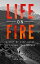 Life on Fire: A Step-By-Step Guide To Living Your Dreams