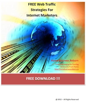 Web Traffic Strategies for Internet Marketers A 