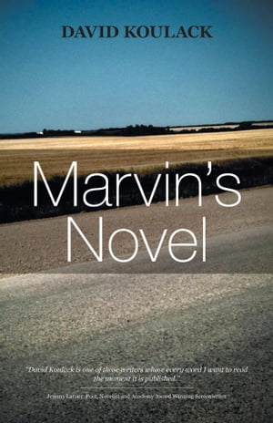 Marvin's Novel