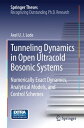 ŷKoboŻҽҥȥ㤨Tunneling Dynamics in Open Ultracold Bosonic Systems Numerically Exact Dynamics ? Analytical Models ? Control SchemesŻҽҡ[ Axel U. J. Lode ]פβǤʤ6,076ߤˤʤޤ