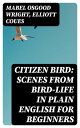 Citizen Bird: Scenes from Bird-Life in Plain Eng