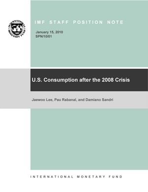 U.S. Consumption after the 2008 Crisis
