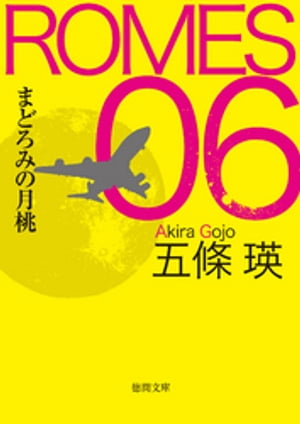 ＜p＞世界最先端の施設警備システム・ROMES06を擁し、世界で最も安全とされる西日本国際空港で密輸の摘発が続発した。税関から協力要請を受けた空港警備チームは、ROMESを駆使して次々と運び屋たちを発見していく。だが……うまく行きすぎる。疑問を抱いた天才システム運用者の成嶋は、一人調査を開始する。大規模密輸を隠れ蓑にして、進んでいた恐るべき計画。成嶋は首謀者の男の知性と情に驚嘆しつつ、男の行動を阻止すべく戦いに挑む！＜/p＞画面が切り替わりますので、しばらくお待ち下さい。 ※ご購入は、楽天kobo商品ページからお願いします。※切り替わらない場合は、こちら をクリックして下さい。 ※このページからは注文できません。