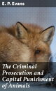 The Criminal Prosecution and Capital Punishment 