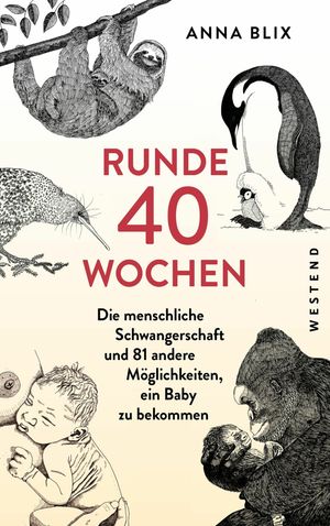 Runde 40 Wochen Die menschliche Schwangerschaft und 81 andere M?glichkeiten, ein Baby zu bekommen