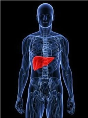 An Informative Guide About Liver Cancer